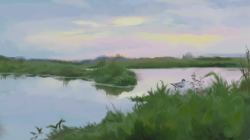 Avocet at Dawn
