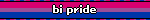 Bi Pride