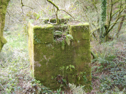 STA70029.JPG