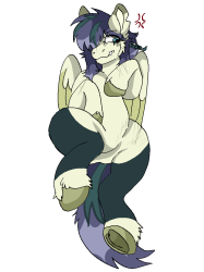 Ponysona :P ×3