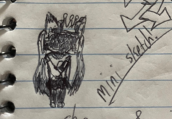 i drew this last night in my notebook