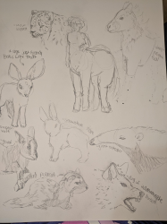 Animal Shape Practice