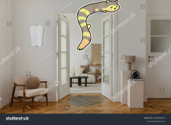 furrethanging.png