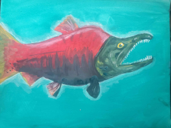 salmon.jpg