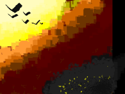 SPUPPETSIND (Shadow Puppets in the Dungeon), FORTHEBIRDS, DANCEOFSOUL, SUNSHINEDPT (Sunshine Depth) 